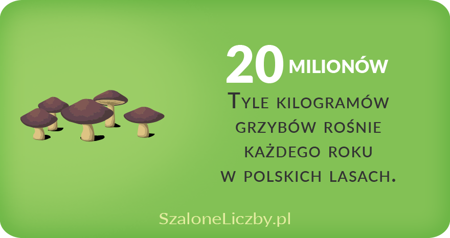 grzyby w Polsce